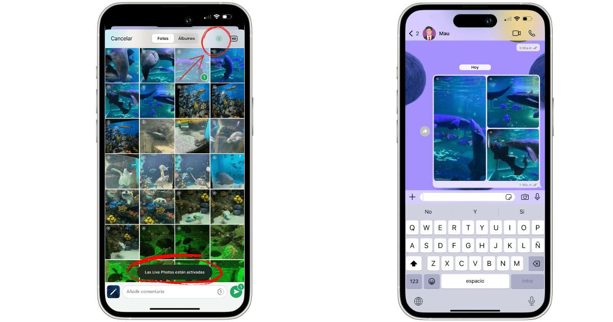 WhatsApp ya permite enviar 'Live Photos' con movimiento y audio.- Blog Hola Telcel