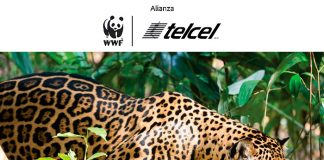 Alianza WWF Telcel