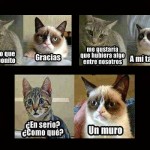 meme3