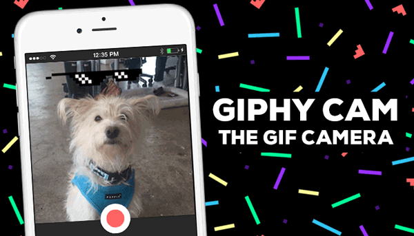 App Giphy Cam 