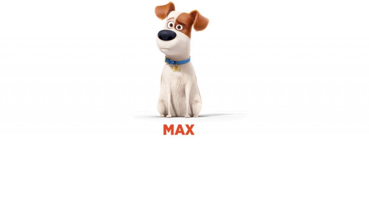 Mascotas, la película animada más esperada del verano - Hola Telcel