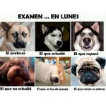 Imagen Secundaria 10