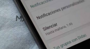 ¿Tienes contactos muy activos? Checa cómo silenciar los estados de WhatsApp
