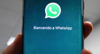 20 tips para usar WhatsApp como todo un pro