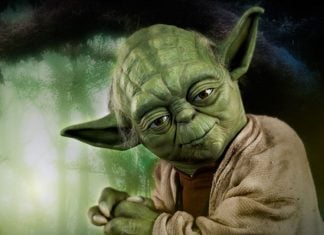 Yoda maestros