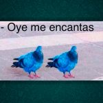 Imagen-principal-memes-whatsApp
