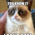 best-funniest-grumpy-cat-4