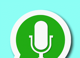 Audio WhatsApp