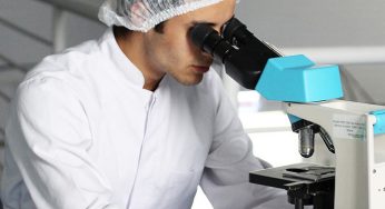 Estas son las investigaciones científicas más extrañas del 2018