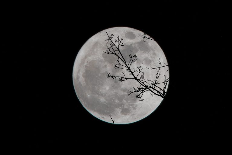 david-dibert-499250-unsplash (1) Este martes habrá superluna de nieve