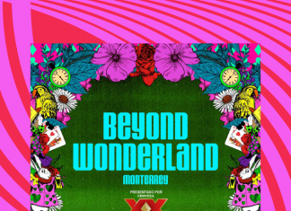 Beyond Wonderland