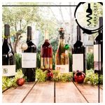 cata-vinos-dia-madres