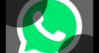 Así luce el tema oscuro de WhatsApp: “Modo Noche”