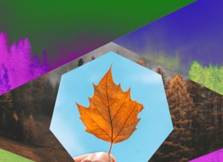 Otoño 2019 cambio de horario
