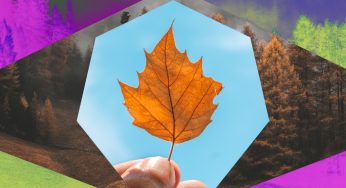 Otoño 2019: ¿Cuánto durará y cuándo es el cambio de horario?