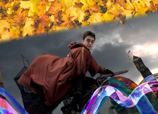 Escobas Harry Potter Tokio