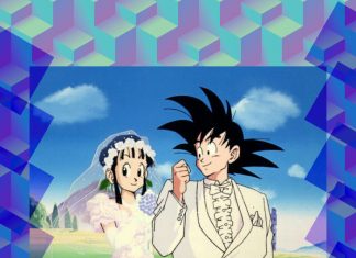 Bodas Dragon Ball