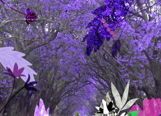 Jacarandas CDMX