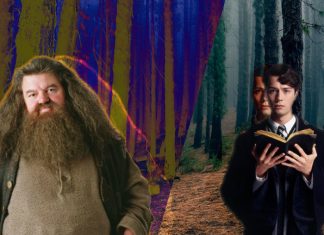 Animales Fantásticos 3 Harry Potter