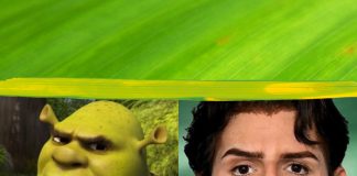 Shrek versión real