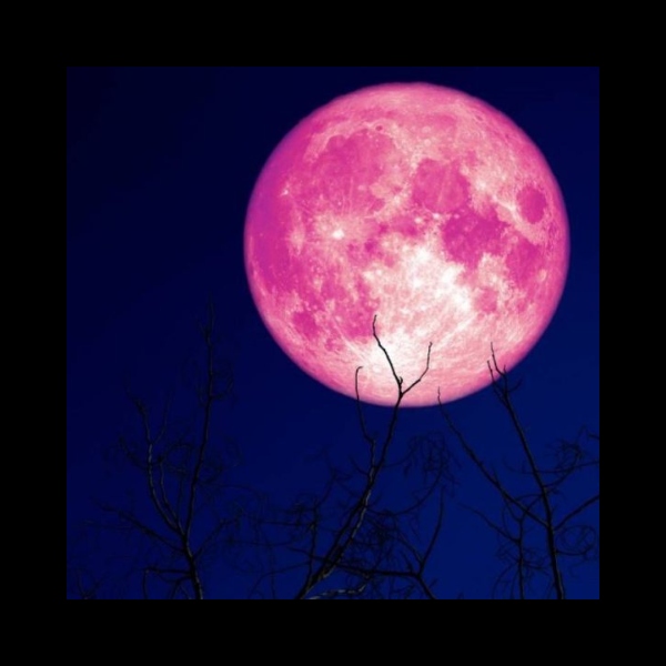 luna-de-fresa luna de fresa