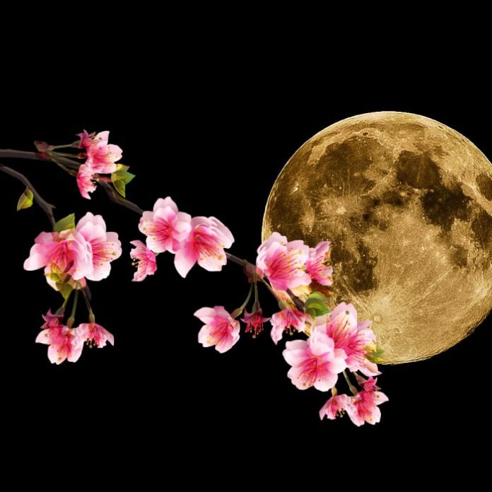 Superluna de flores mayo