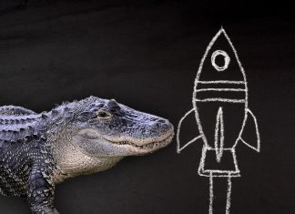 Caimán infiltrado SpaceX NASA