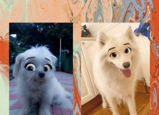 Cartoon face filtro Snapchat