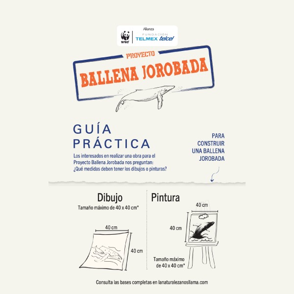 proyecto ballena jorobada