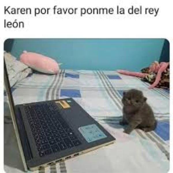 Karen historia dueña gatos memes