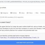 secretos-google-datos