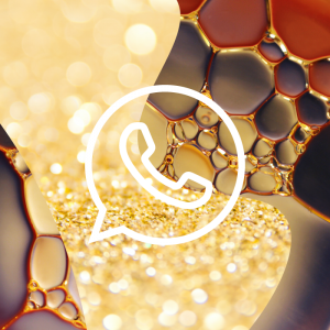 funciones del WhatsApp Gold