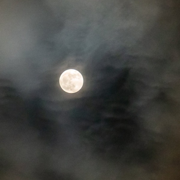 Las mejores fotos de la Luna Azul desde México