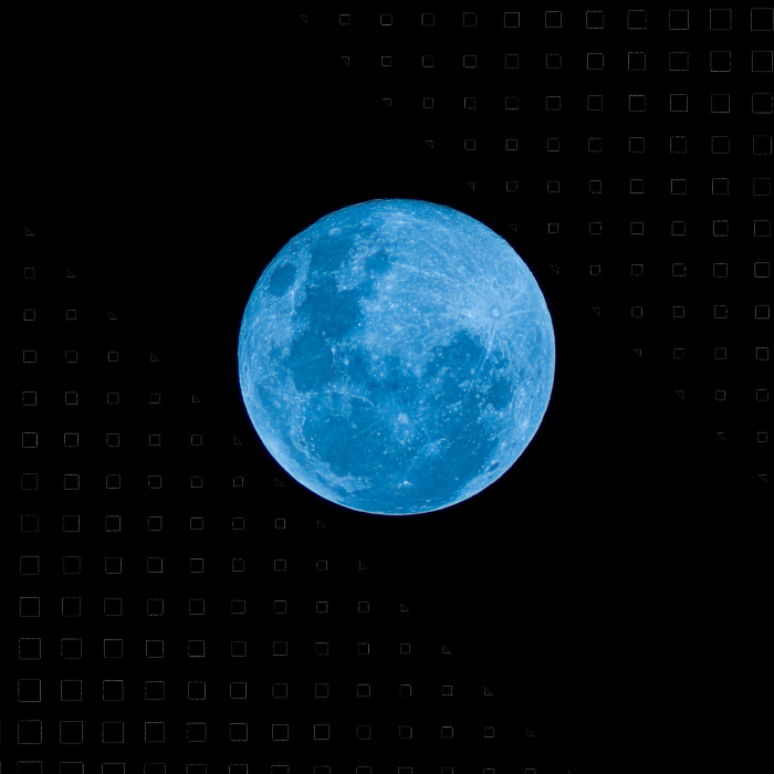 Con Luna Azul In Web Cam
