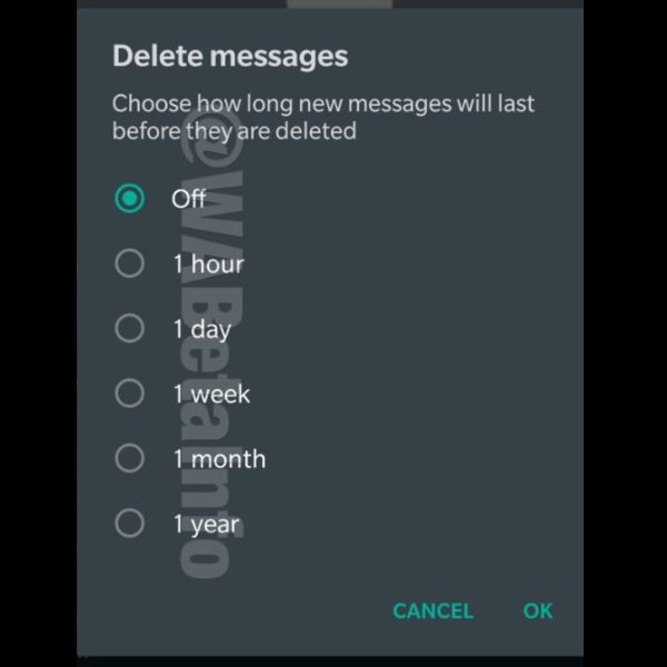 Captura de pantalla de la beta de WhatsApp de los mensajes que se autodestruyen 