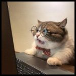 quien-ve-tu-perfil-instagram