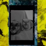 donde-buscar-filtros-de-instagram-text-blue