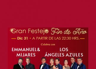 festejo fin de año