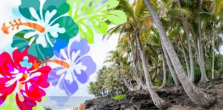 hawaii ofrece estadia gratis a cambio de trabajo voluntario