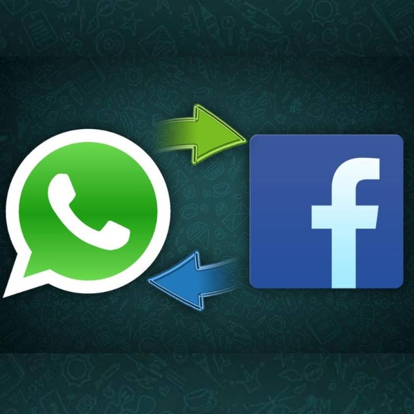 los datos que whatsapp no compartirá con Facebook