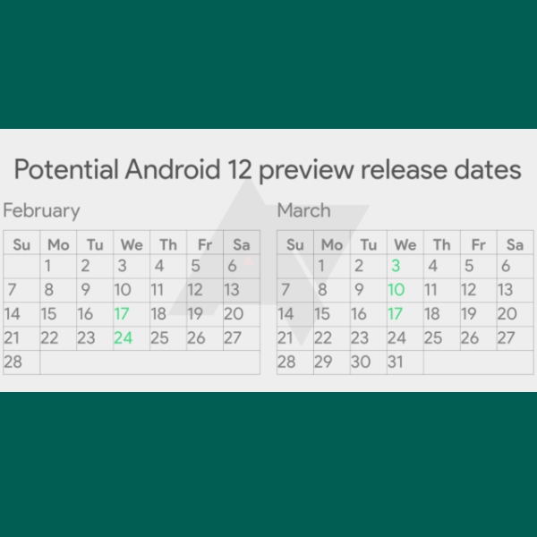 fechas de android 12