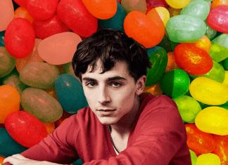 Timothée Chalamet será el nuevo Willy Wonka