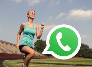 WhatsApp estrena un chatbot para que conozcas las novedades en Tokio.- Blog Hola Telcel