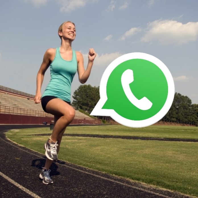 WhatsApp estrena un chatbot para que conozcas las novedades en Tokio.- Blog Hola Telcel