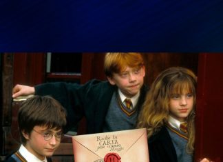 ¿Todavía esperas tu carta de Hogwarts? ¡Te decimos cómo obtenerla! - Blog Hola Telcel