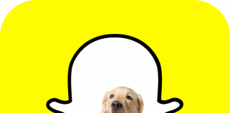 Puedes escanear perritos y plantas para obtener información o conocer el nombre de la raza o especie con Scan Snapchat - Blog Hola Telcel