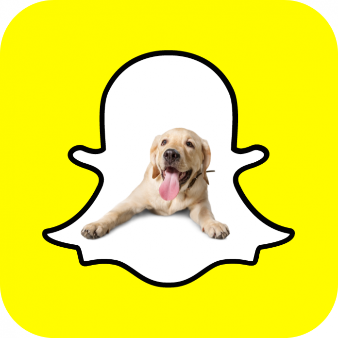 Puedes escanear perritos y plantas para obtener información o conocer el nombre de la raza o especie con Scan Snapchat - Blog Hola Telcel