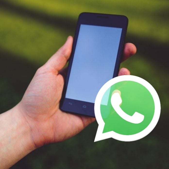 ¿Cómo recuperar números eliminados en WhatsApp?- Blog Hola Telcel