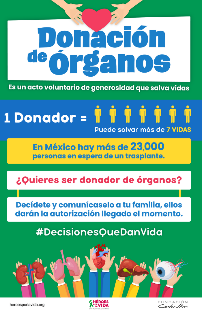 Donación de organos - Blog Hola Telcel