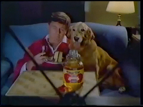 Niño y perro disfrutando de Paramount+ por Claro video.- Blog Hola Telcel 